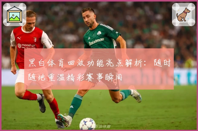 黑白体育回放功能亮点解析：随时随地重温精彩赛事瞬间