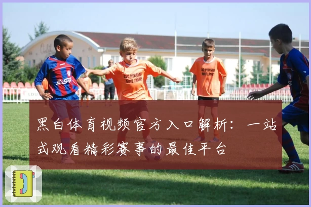 黑白体育视频官方入口解析：一站式观看精彩赛事的最佳平台