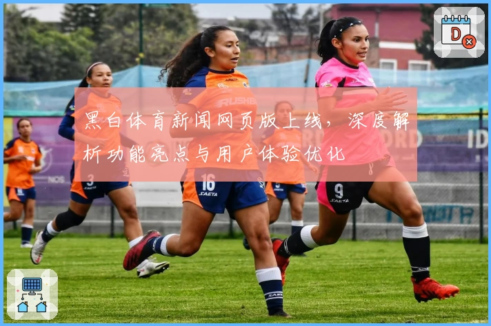 黑白体育新闻网页版上线，深度解析功能亮点与用户体验优化