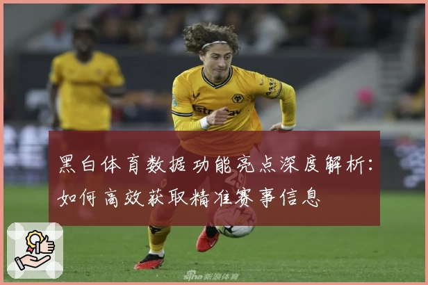 黑白体育数据功能亮点深度解析：如何高效获取精准赛事信息
