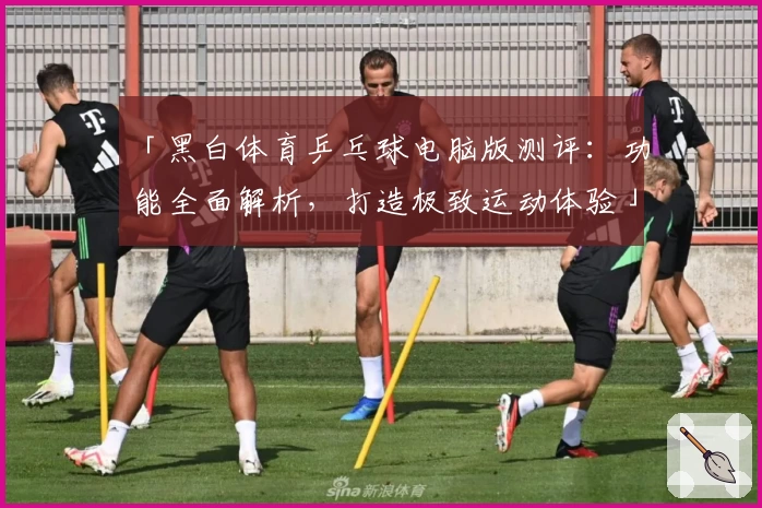 「黑白体育乒乓球电脑版测评：功能全面解析，打造极致运动体验」