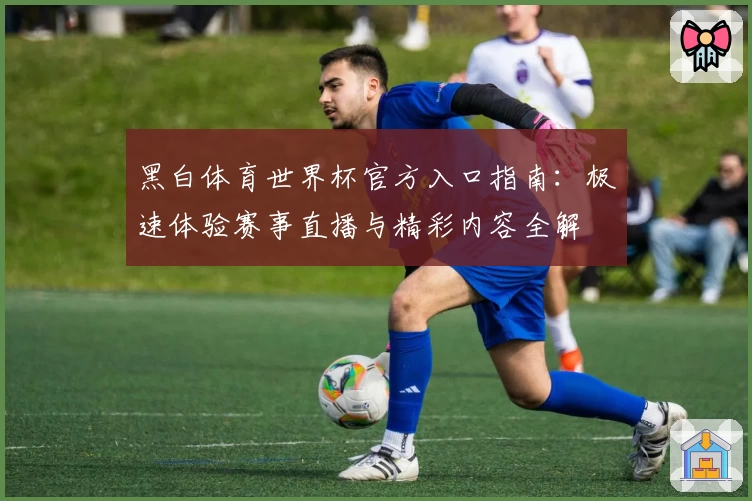 黑白体育世界杯官方入口指南：极速体验赛事直播与精彩内容全解
