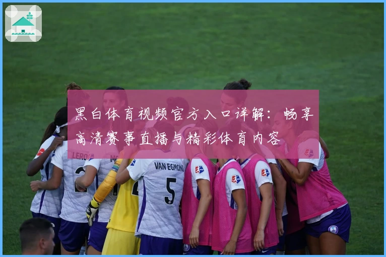 黑白体育视频官方入口详解：畅享高清赛事直播与精彩体育内容