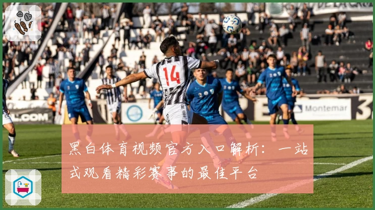 黑白体育视频官方入口解析：一站式观看精彩赛事的最佳平台