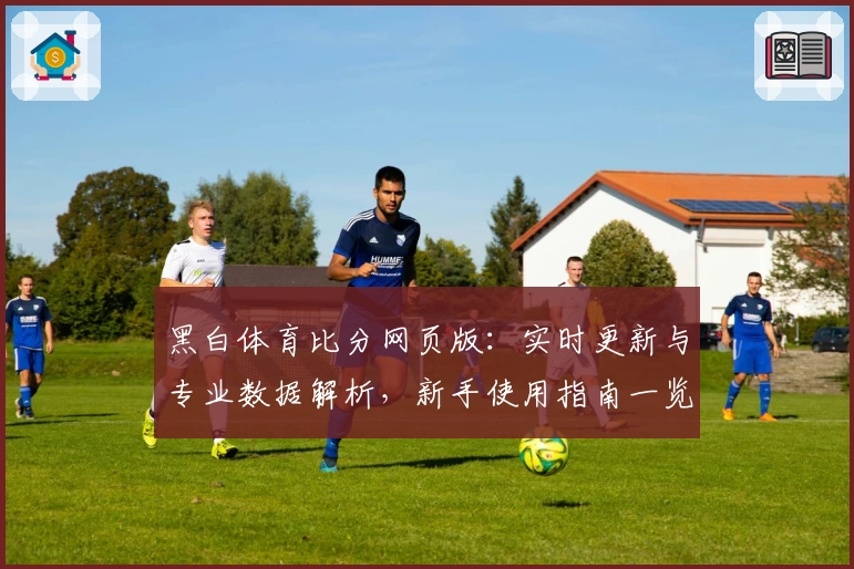 黑白体育比分网页版:实时更新与专业数据解析,新手使用指南一览