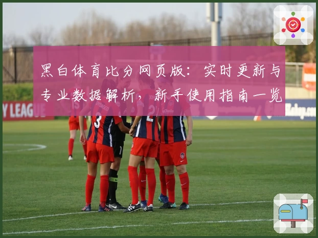 黑白体育比分网页版：实时更新与专业数据解析，新手使用指南一览
