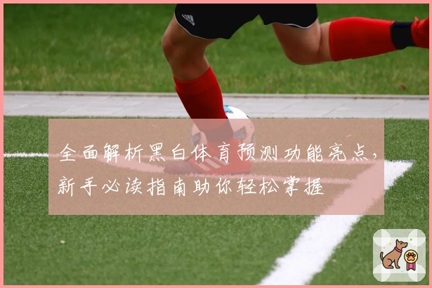 全面解析黑白体育预测功能亮点，新手必读指南助你轻松掌握