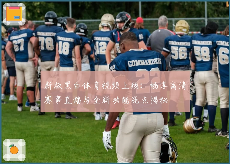 新版黑白体育视频上线：畅享高清赛事直播与全新功能亮点揭秘